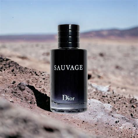 dior sauvage 200ml 價錢|dior 曠野之心.